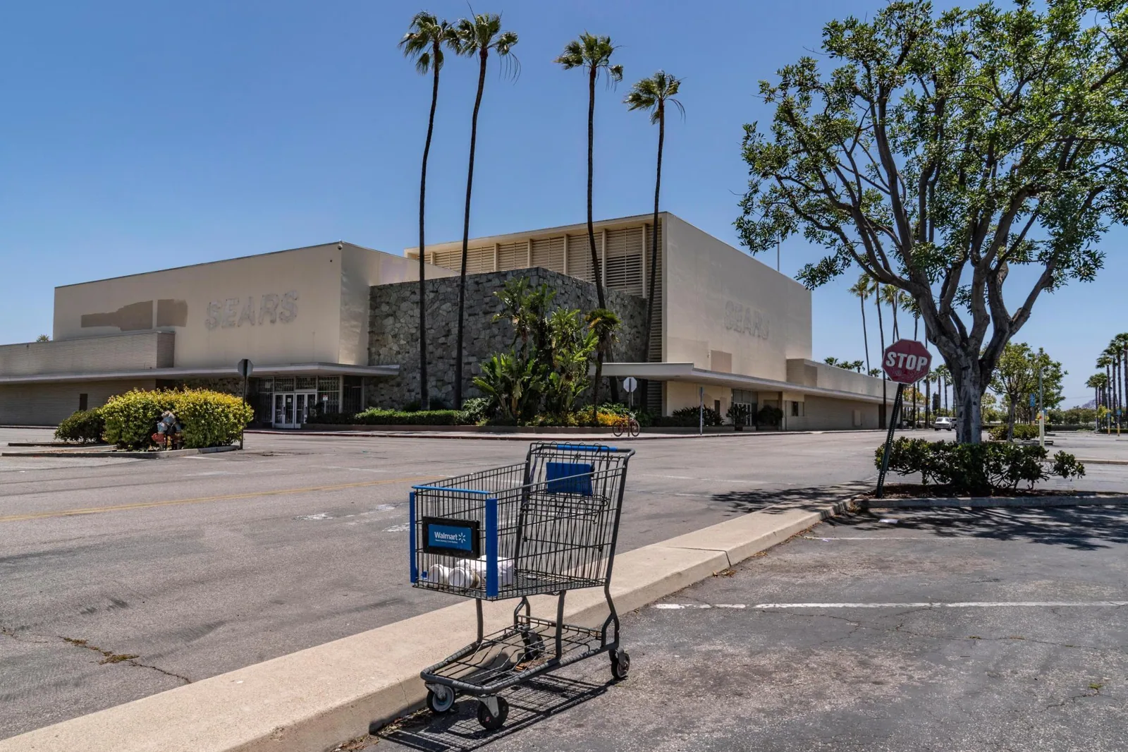 Big-Box Retail Roofing in Santa Rosa, CA