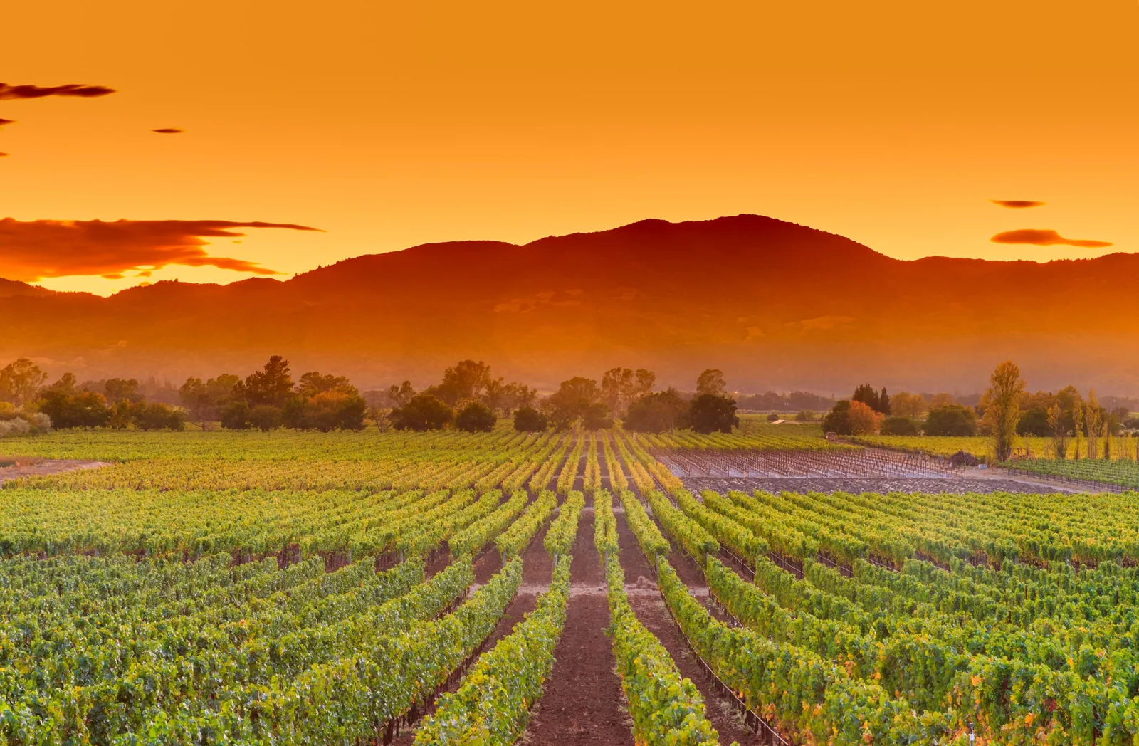 Commercial Roofing in Napa, CA