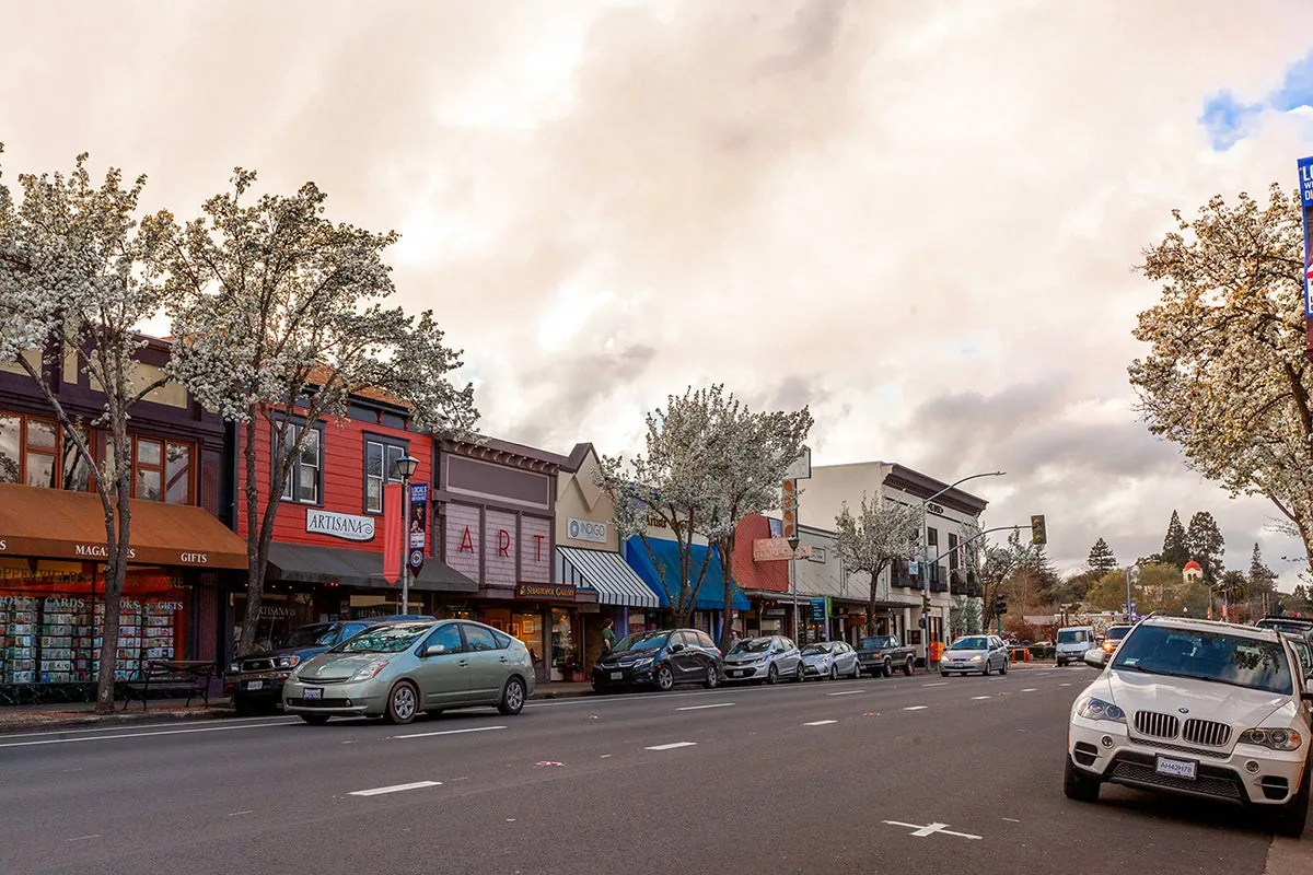 Commercial Roofing in Sebastopol, CA