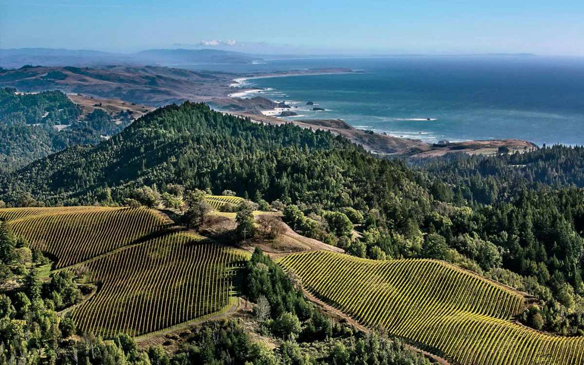 Commercial Roofing in Sonoma, CA