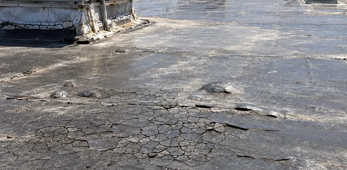 Roof Insurance Claim Assistance in Santa Rosa, CA